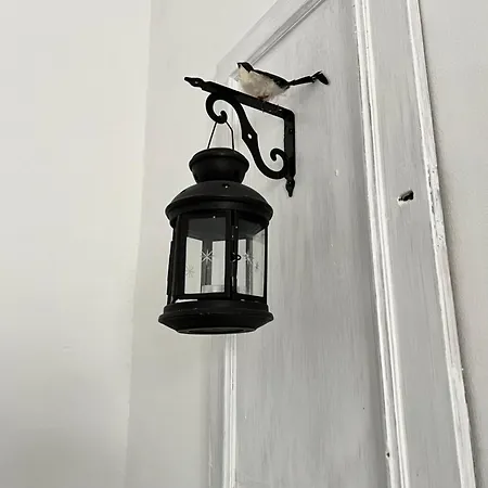 Stanza Doppia Konukevi *